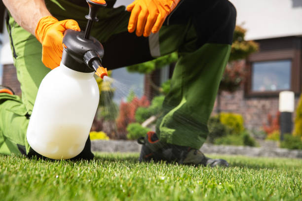Best Exterminator Services  in Combine, TX