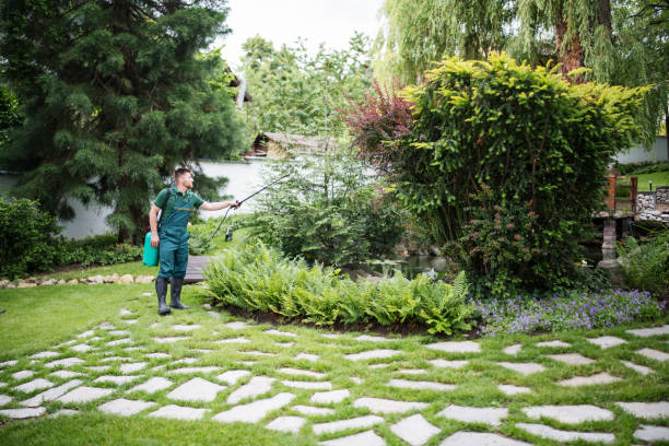 Best Commercial Pest Control Services  in Combine, TX
