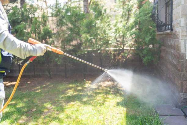 Best Termite Control Services  in Combine, TX