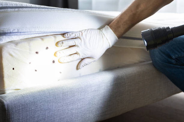 Best Commercial Pest Control Services  in Combine, TX