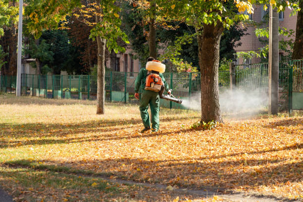 Best Best Pest Control Companies  in Combine, TX
