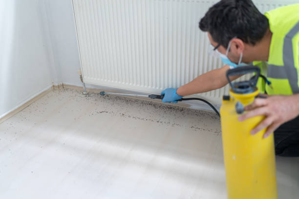 Professional Pest Control in Combine, TX