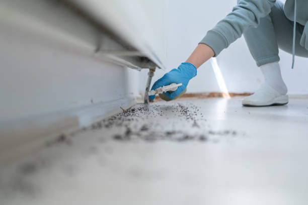 Best Affordable Pest Control Services  in Combine, TX